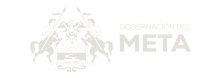 Meta